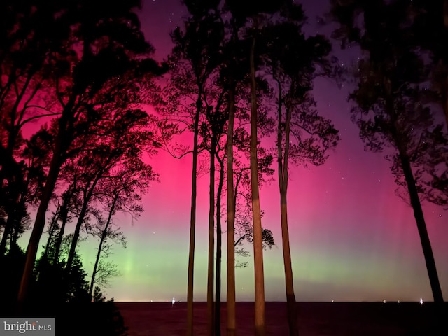 view of nature at dusk