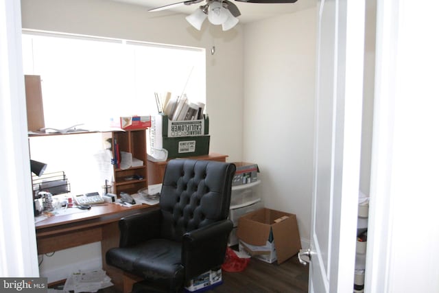 office with dark hardwood / wood-style floors and ceiling fan