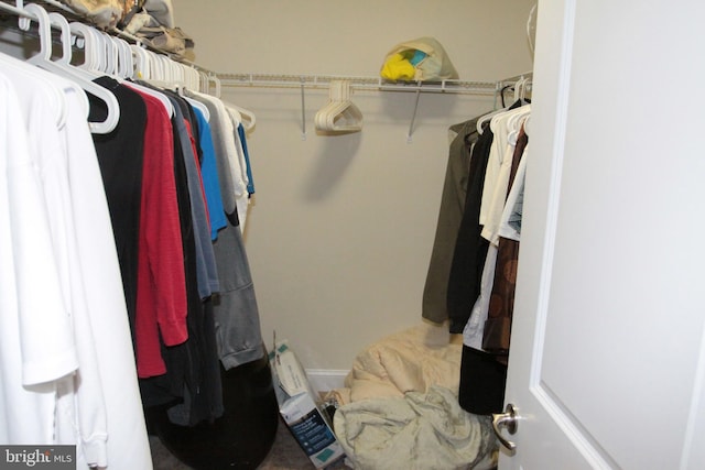 view of walk in closet