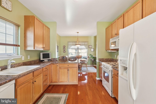 kitchen featuring white appliances, decorative light fixtures, plenty of natural light, and sink