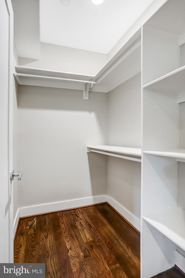 spacious closet featuring wood finished floors