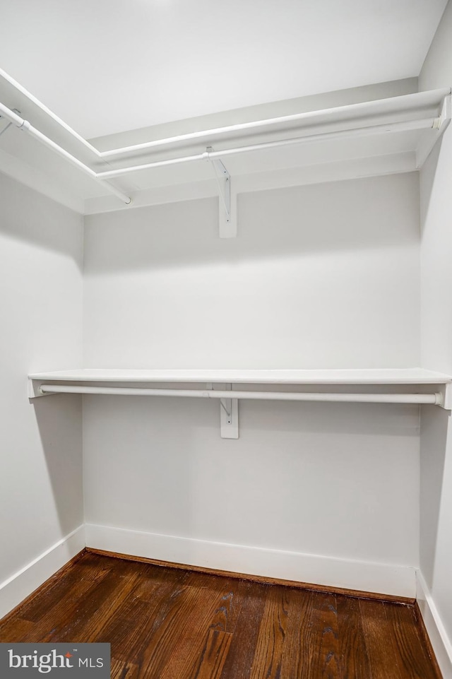 walk in closet featuring dark wood-type flooring