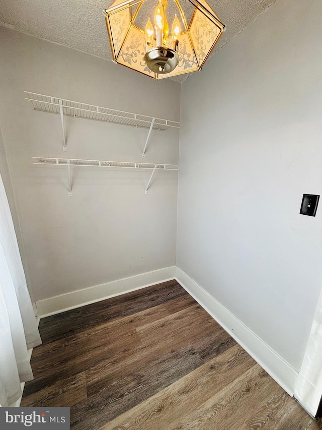 walk in closet with dark wood-type flooring and an inviting chandelier