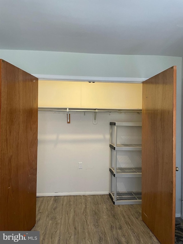 view of closet