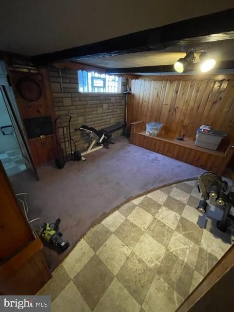 basement with carpet flooring and wood walls