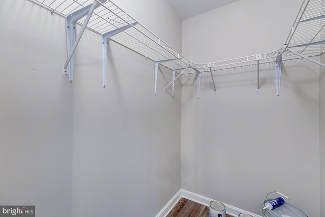 walk in closet featuring wood-type flooring