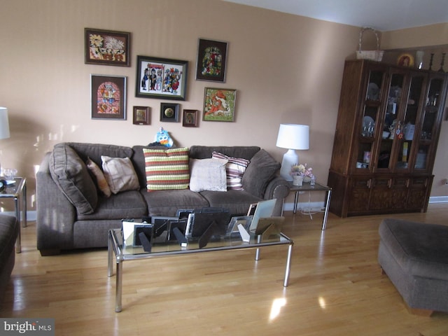 living room featuring wood-type flooring