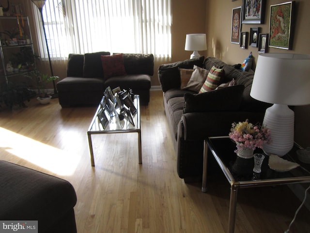 living room featuring light hardwood / wood-style floors