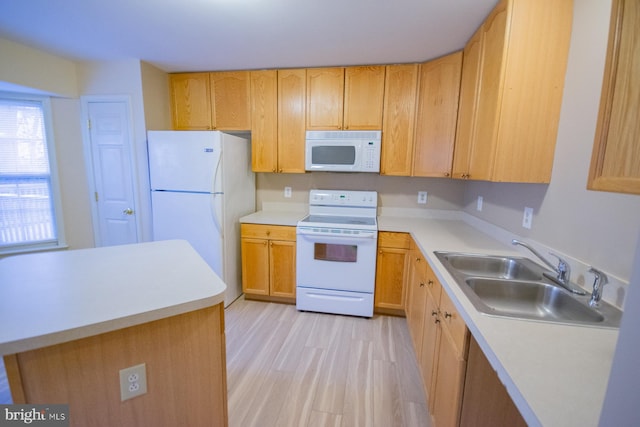 kitchen with light wood-type flooring, white appliances, and sink