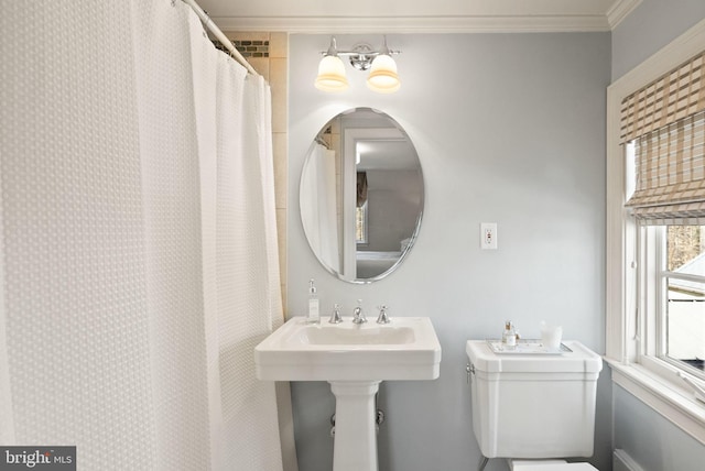 bathroom featuring toilet, a sink, and crown molding