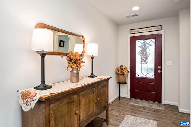 foyer entrance featuring wood-type flooring