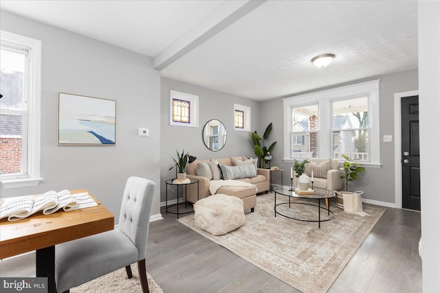 living room featuring hardwood / wood-style floors and a healthy amount of sunlight