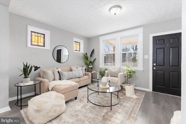 living room featuring wood-type flooring