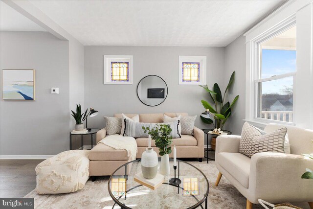 living room featuring hardwood / wood-style floors