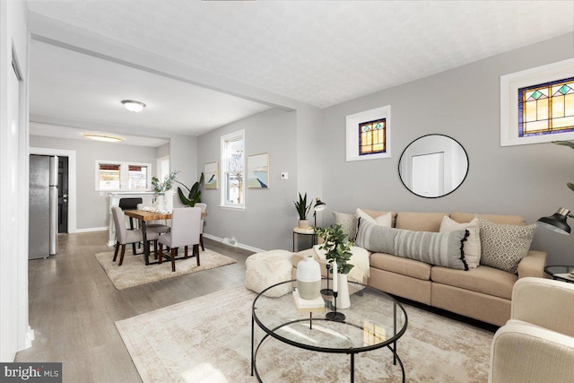 living room with light hardwood / wood-style flooring