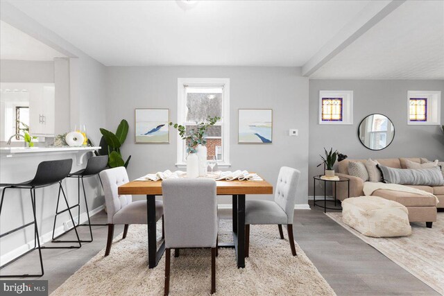 dining room with light hardwood / wood-style flooring