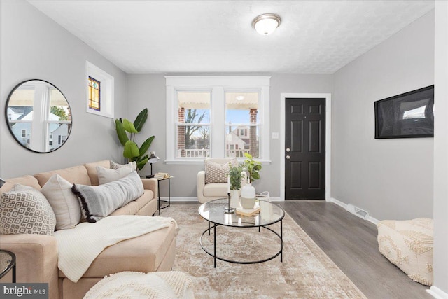 living room featuring hardwood / wood-style flooring