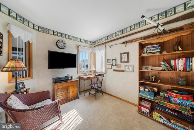 66 Pelican Dr, Avalon, NJ 08202 - home office with carpet flooring and baseboards