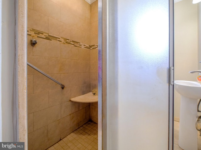 bathroom with a sink and a stall shower