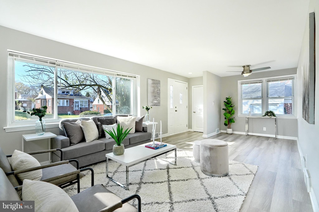 living room featuring ceiling fan and light hardwood / wood-style floors