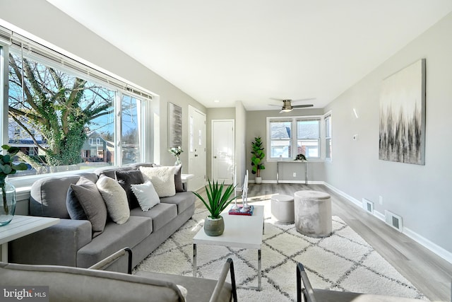 living room with ceiling fan and light wood-type flooring