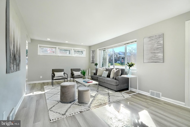 living room featuring light hardwood / wood-style flooring