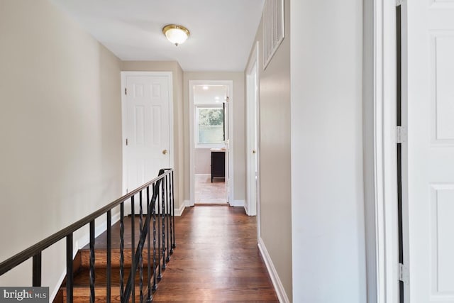 hall featuring dark hardwood / wood-style floors