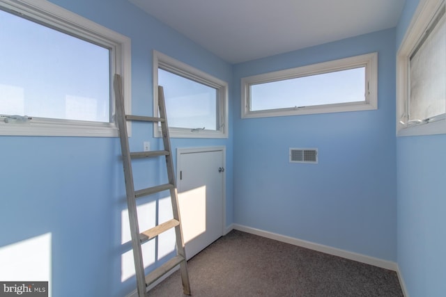 clothes washing area with carpet flooring