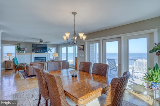 dining room with light hardwood / wood-style flooring and ceiling fan with notable chandelier