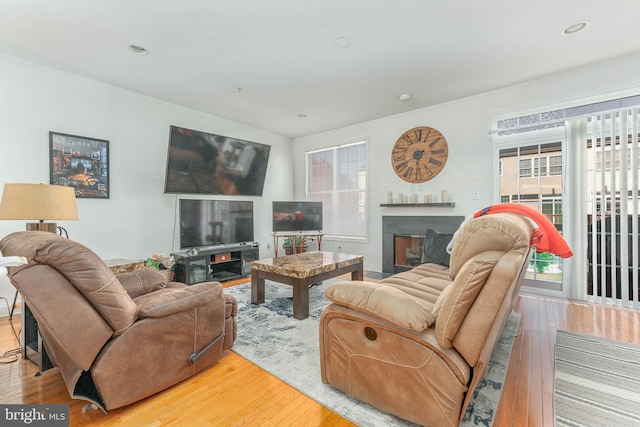 living room with hardwood / wood-style floors