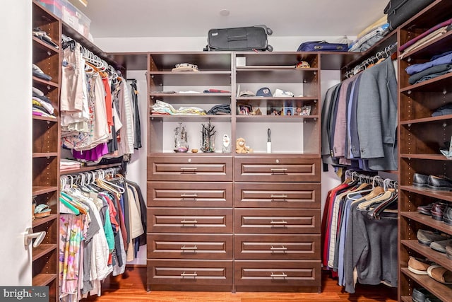 spacious closet with wood-type flooring