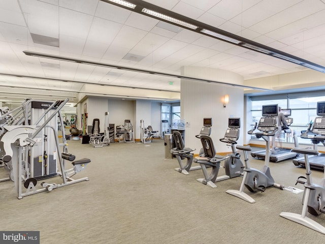 exercise room featuring carpet and plenty of natural light