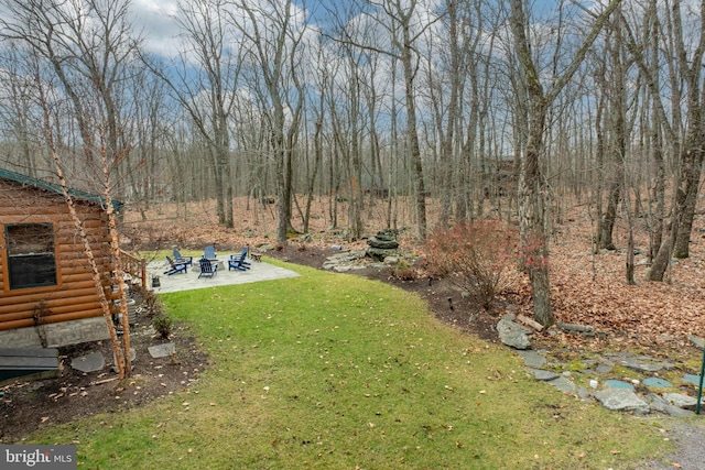 view of yard with a patio area