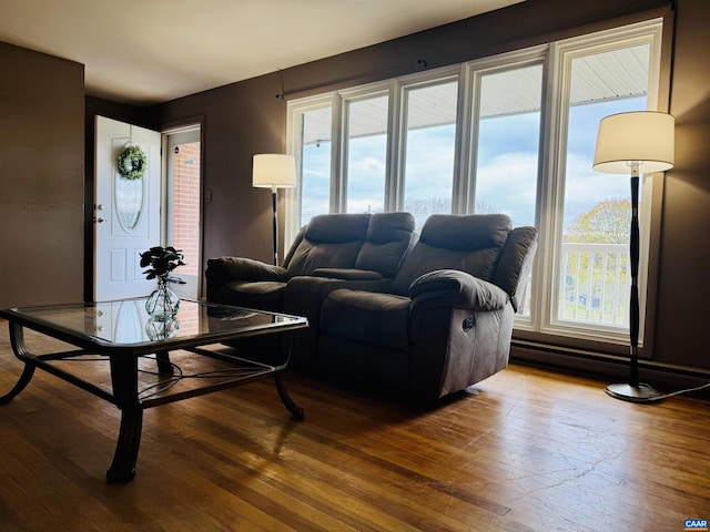 living room featuring hardwood / wood-style floors