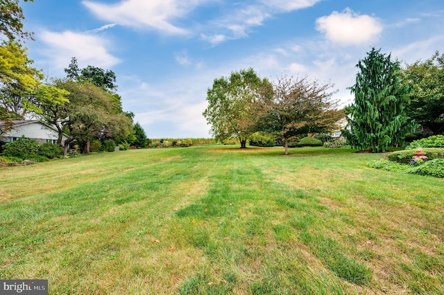 view of yard