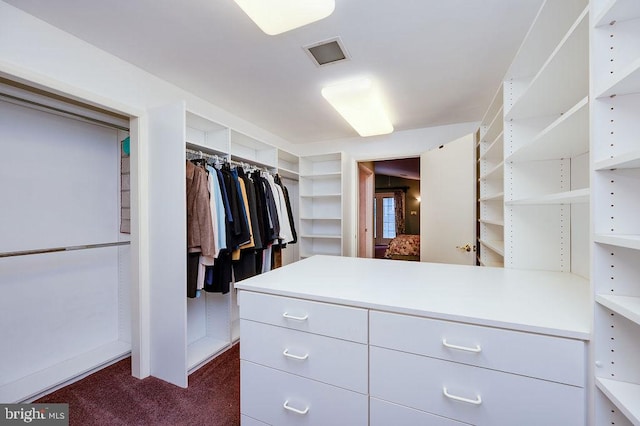 spacious closet with dark carpet