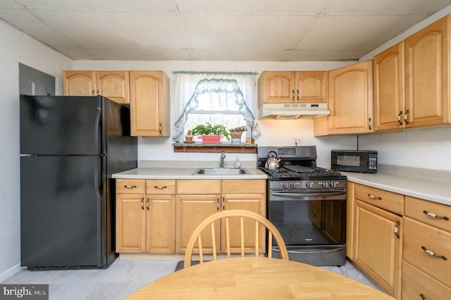 kitchen featuring sink, black appliances, and light brown cabinets