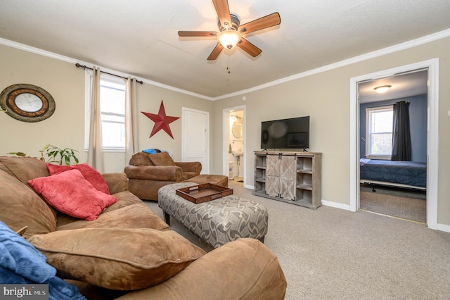 carpeted living room featuring a textured ceiling, ceiling fan, and crown molding