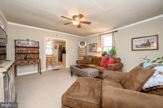 carpeted living room with ceiling fan, crown molding, and a textured ceiling