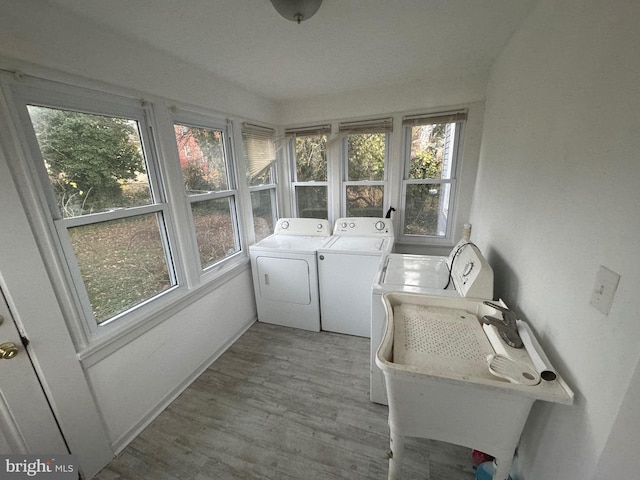 laundry room featuring independent washer and dryer, hardwood / wood-style flooring, and a healthy amount of sunlight