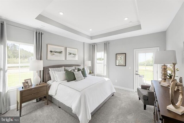 bedroom with light carpet, a tray ceiling, and multiple windows