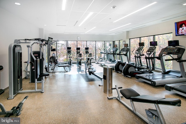 5901 Mount Eagle Dr Unit 1101, Alexandria, VA 22303 - exercise room featuring healthy amount of natural light