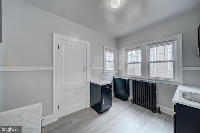 office featuring radiator and light hardwood / wood-style flooring