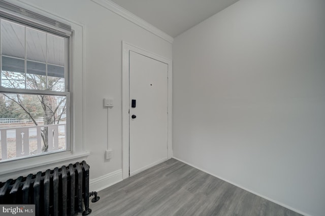 entryway featuring radiator, crown molding, and hardwood / wood-style floors