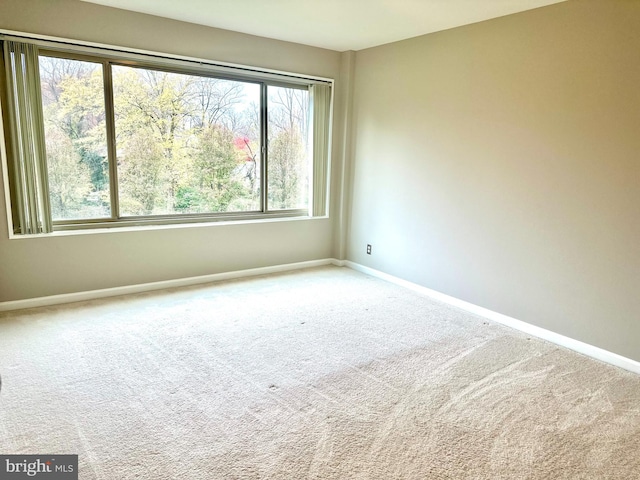 unfurnished room featuring carpet flooring and plenty of natural light