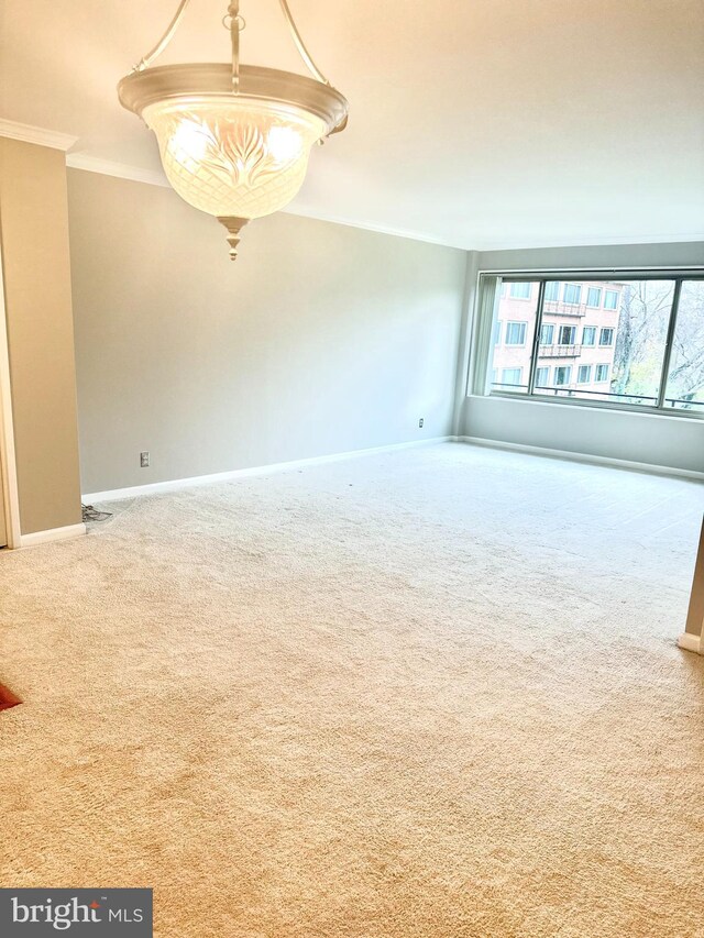 unfurnished room with carpet and crown molding