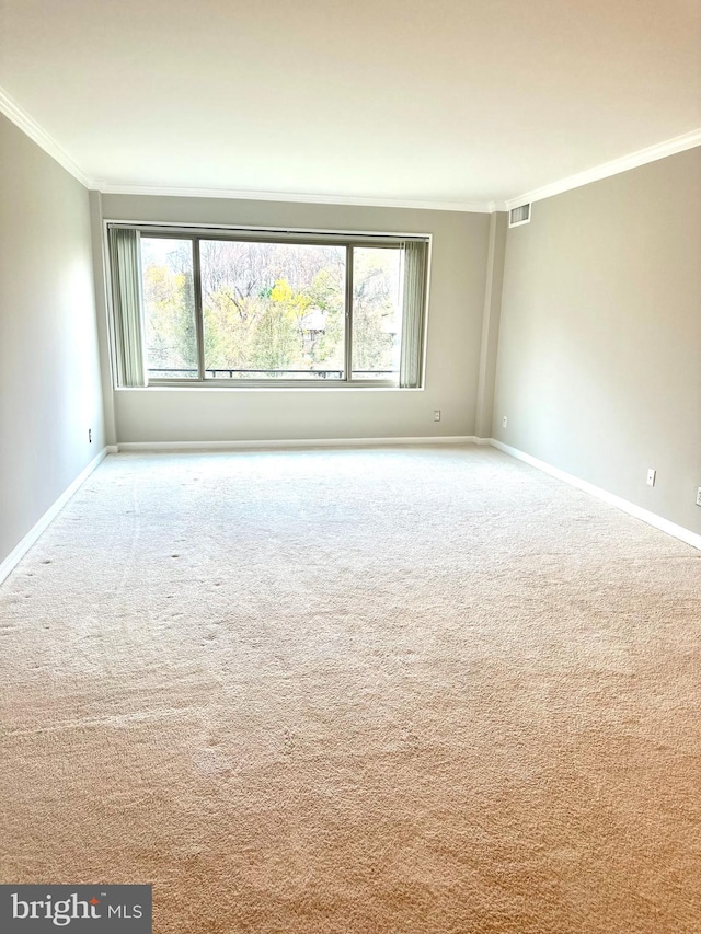 empty room featuring a healthy amount of sunlight, ornamental molding, and carpet floors