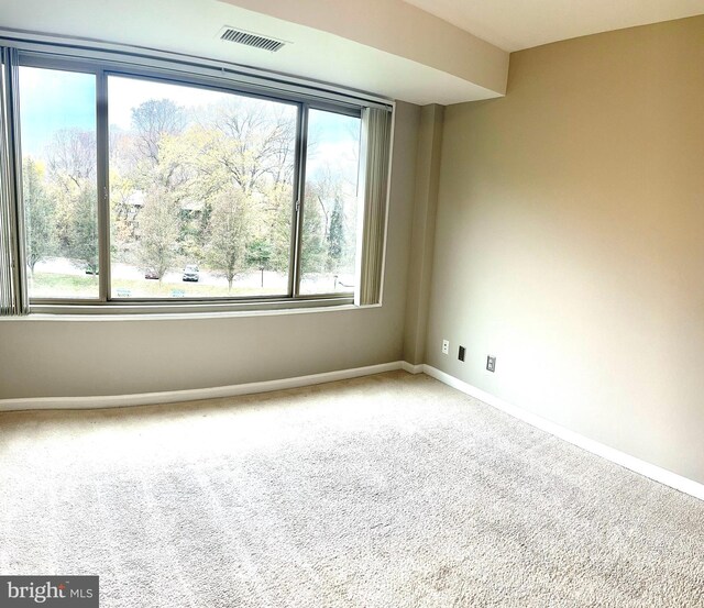 carpeted spare room with plenty of natural light