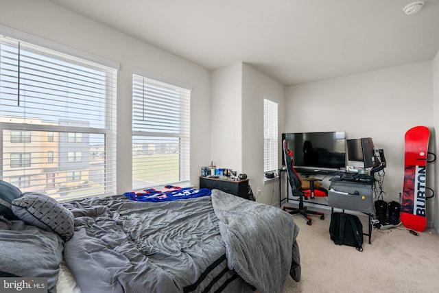 bedroom with carpet