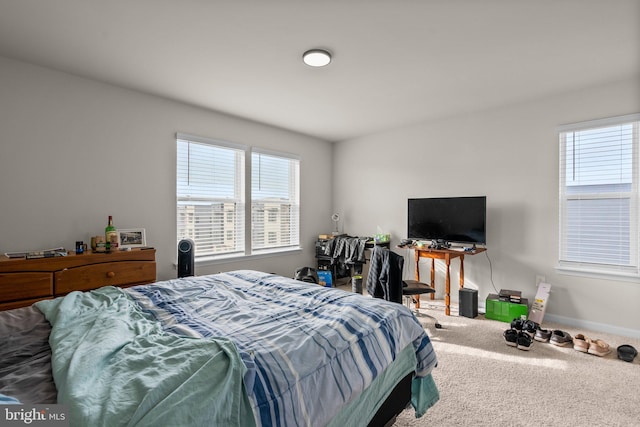 bedroom featuring carpet and multiple windows